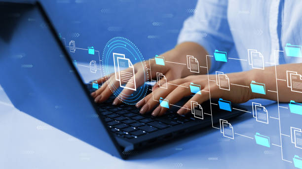 what is organization